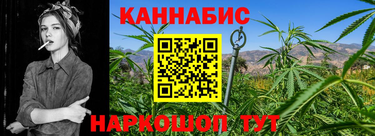 Бошки марихуана план Киселёвск